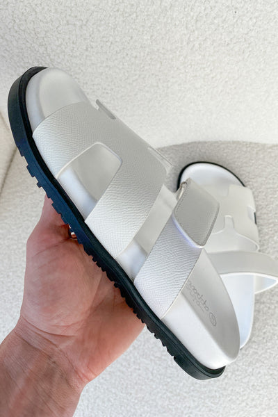 Kendal Slides