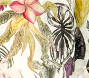 Charley Dress - Tropical Floral
